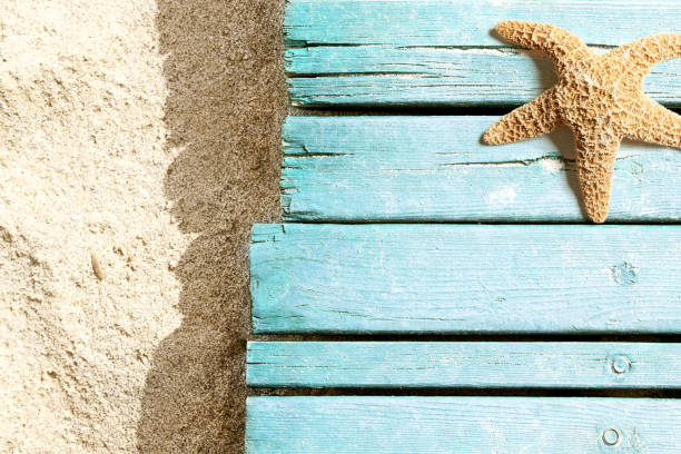 istock Marine life on blue plank on the beach 955074504