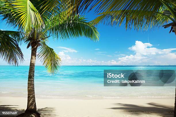 Mar Caribe Y Palmas De Coco Foto de stock y más banco de imágenes de Aire libre - Aire libre, Arena, Azul