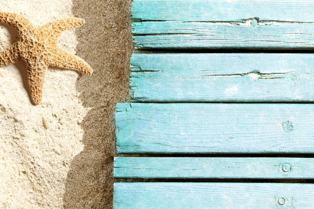 istock Marine life on blue plank on the beach 955074868