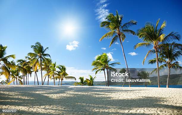 Foto de Mar Do Caribe E Palm e mais fotos de stock de América Latina - América Latina, Areia, Azul