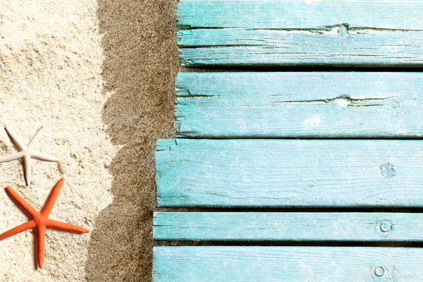 istock Marine life on blue plank on the beach 955077726