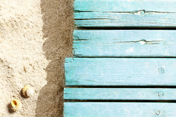 istock Marine life on blue plank on the beach 955077968