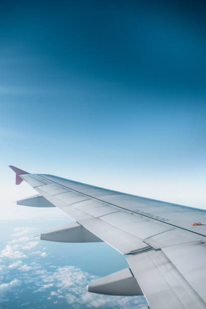 istock Adventure, travel, transport concept 955078606