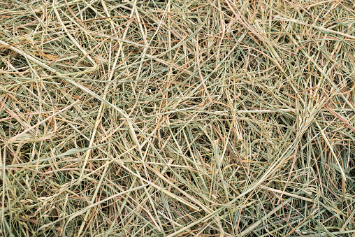 Texture of dry straw stack on ground