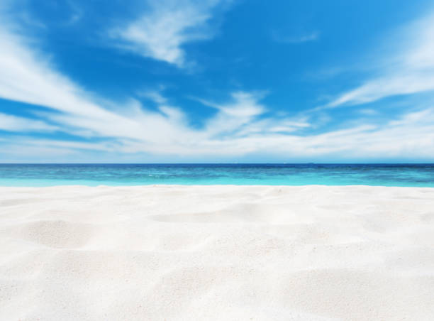 istock Beach Sand Dune With Sea And Blue Sky Background 955082988