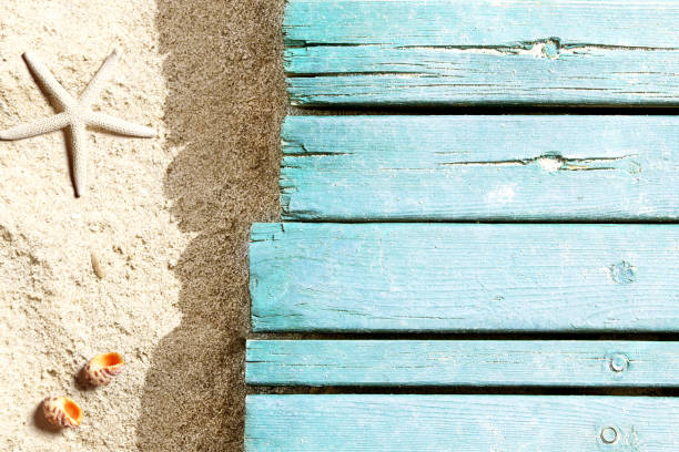 istock Marine life on blue plank on the beach 955083522