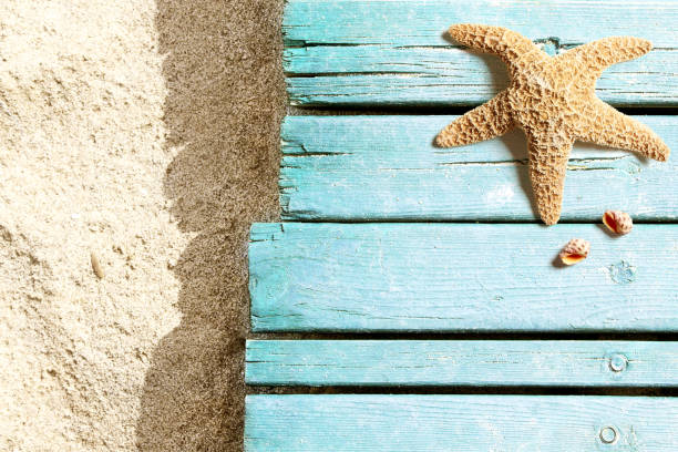 istock Marine life on blue plank on the beach 955083850