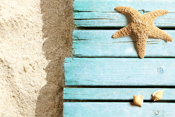 istock Marine life on blue plank on the beach 955084078