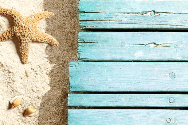 istock Marine life on blue plank on the beach 955084420