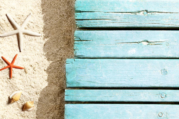 istock Marine life on blue plank on the beach 955084684