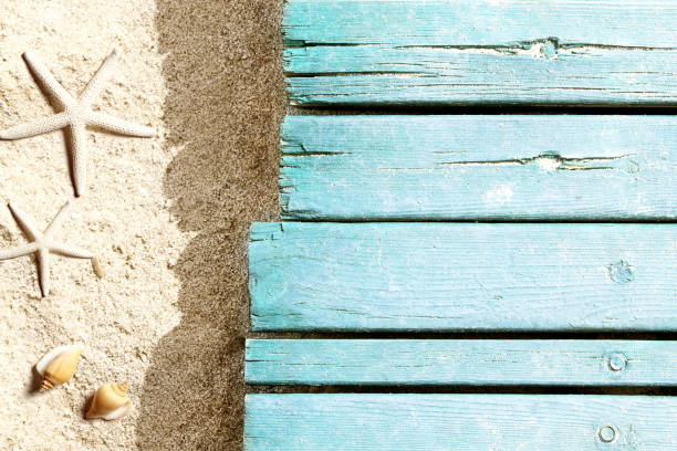 istock Marine life on blue plank on the beach 955084884