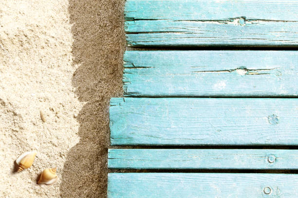 istock Marine life on blue plank on the beach 955085208