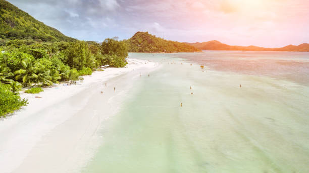 vista aérea de anse volbert com turistas - praslin - seychelles - tree large group of people sand sunbathing - fotografias e filmes do acervo