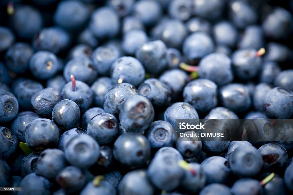 Bilberry scattering  Bilberry - Fruit Stock Photo