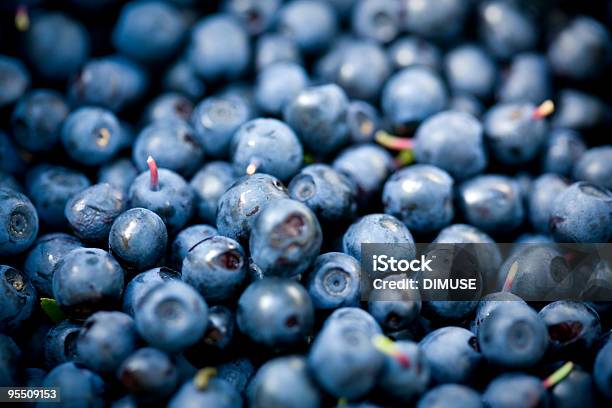 Bilberry Scattering Stock Photo - Download Image Now - Bilberry - Fruit, Backgrounds, Berry Fruit