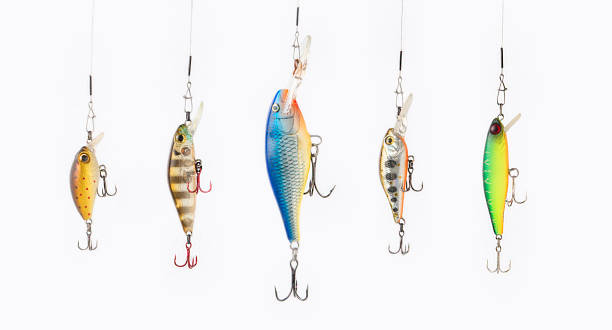 istock Fishing lures on white background. 955099758