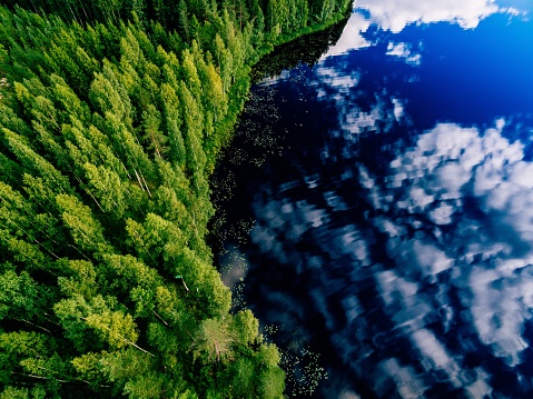 Aerial view of blue lake and green forests on a sunny summer day in Finland. Drone photography