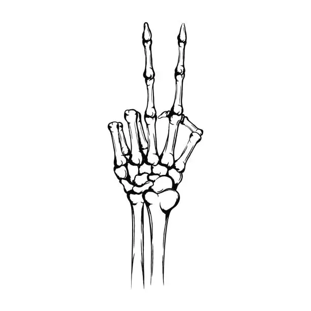 Vector illustration of Hand of the skeleton with raised up forefinger and middle finger. Peace gesture or symbol. Hand drawn human hand with bones isolated on white background. Vintage grunge technique