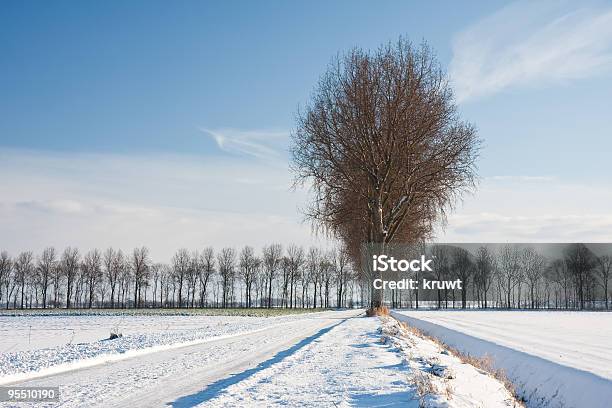 Wintertime In Farmland Of The Netherlands Stock Photo - Download Image Now - Agricultural Field, Agriculture, Bare Tree