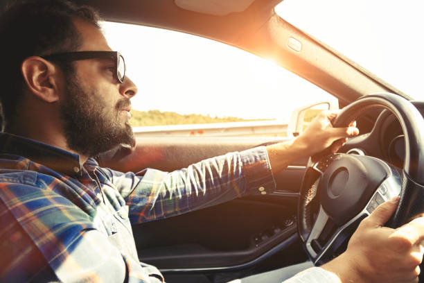 istock Car interior on the motorway with navigation under sunset 955105208