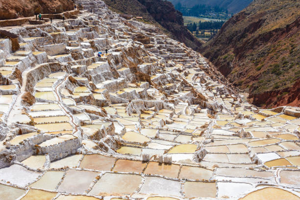istock Salineras de Maras in Cusco Region, Peru 955105308