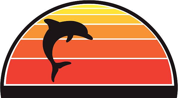 дельфин против закате - dolphin porpoise mammal sea stock illustrations
