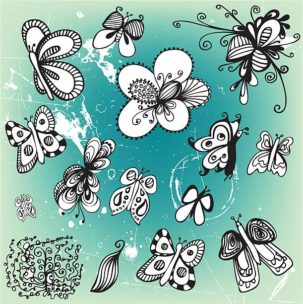 Butterfly Drawings vector art illustration