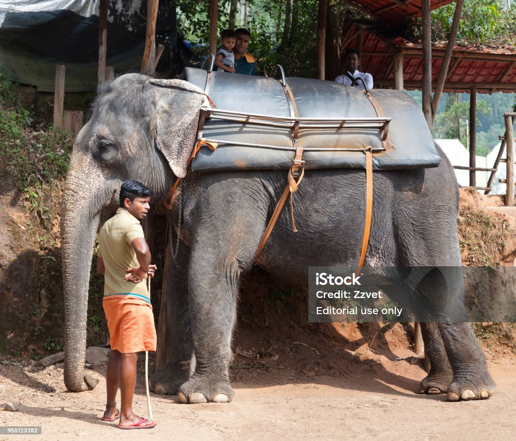 Elefant Riding Around The Park In Kerala India Stock Photo - Download Image Now - Activity, Ancient, Animal - iStock Elefant Riding Around The Park In Kerala India Stock Photo - Download Image Now - Activity, Ancient, Animal - iStock