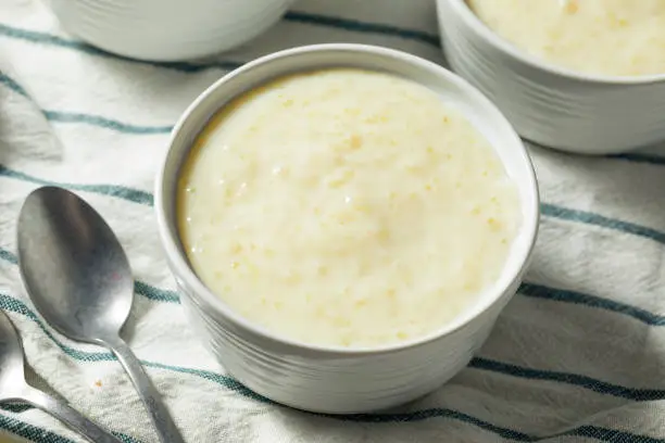 Sweet Homemade Tapioca Pudding in a Bowl