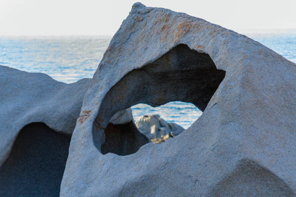 Close up of a granite boulder eroded by the wind and the sea, called Tafone; on the beach of Cala Scilla in Palau (Olbia-Tempio, Sardinia, Italy), in summer.