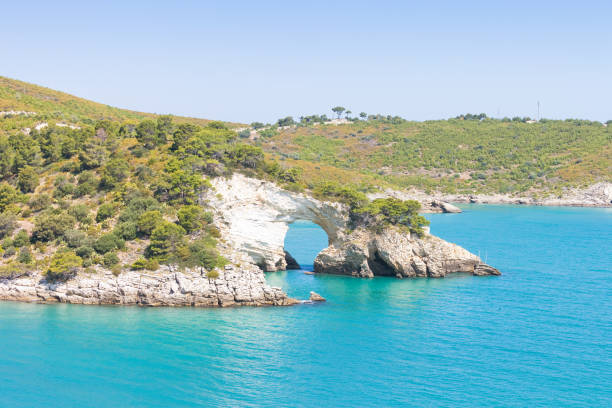 istock Apulia, Italy - Cliff breakthrough at Grotta della Campana Piccola 955132780