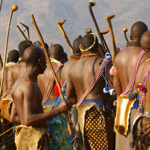 swazi headmen cours de danse des roseaux - swaziland photos et images de collection