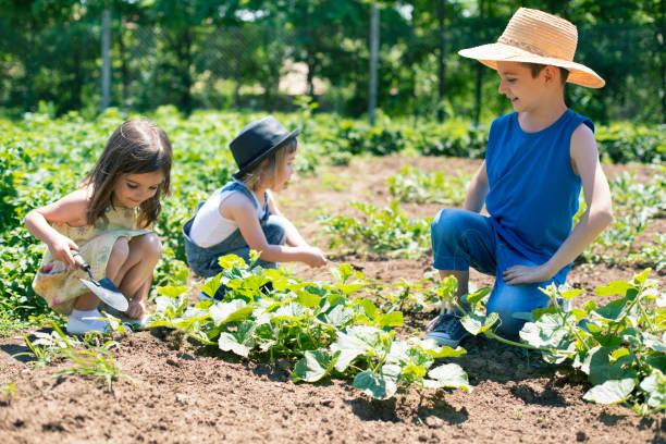 istock Children in community garden 955139710