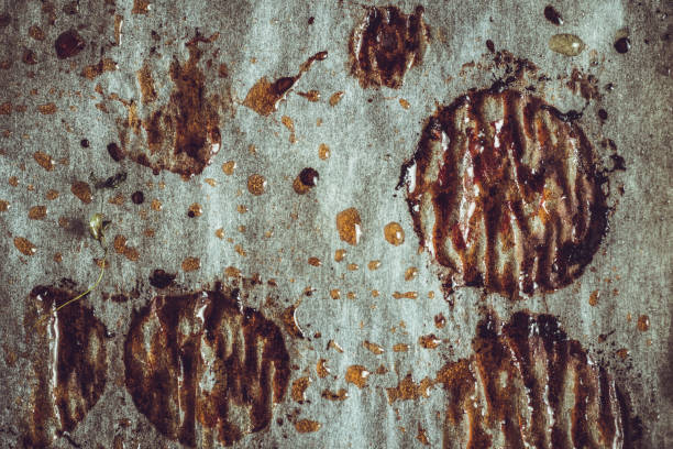 rustic brown stains on parchment. abstract background cooking art. - oregano freshness herb brown imagens e fotografias de stock