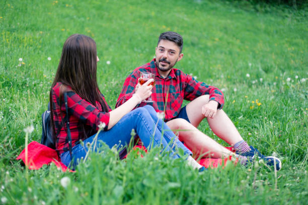 istock Happy couple on picnic in nature 955140566