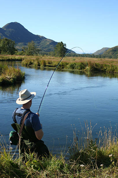 Fly Fishing Fight  kodiak island photos stock pictures, royalty-free photos & images