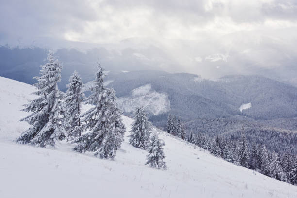 istock Beautiful winter landscape with snow covered trees 955141586