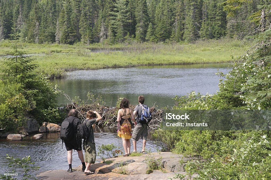 Beaver Dam - Zbiór zdjęć royalty-free (Jezioro)