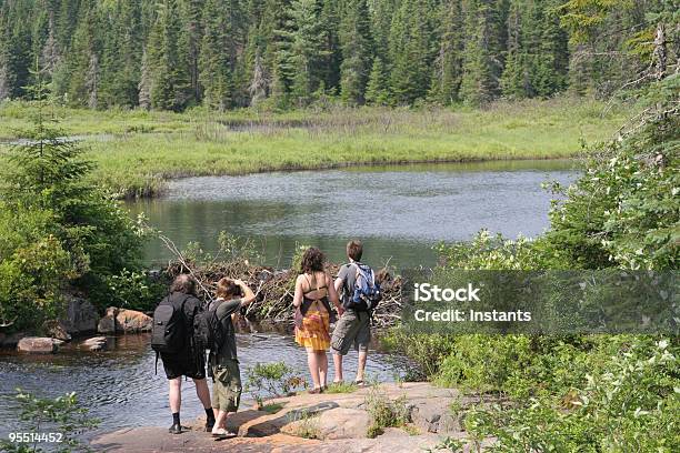 Beaver Dam - zdjęcia stockowe i więcej obrazów Jezioro - Jezioro, Wędrować, Cierpliwość