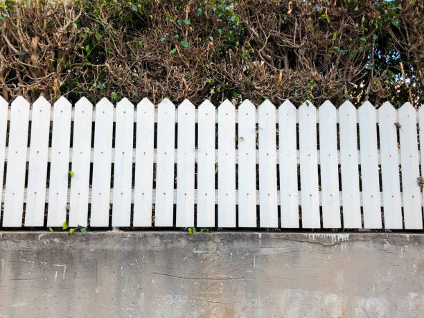 istock White picket fence next to pathway with bush behind. 955145364