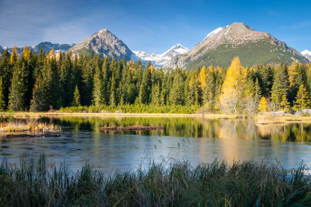 istock Strbske pleso, High Tatras, Slovakia 955149194