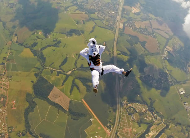 coniglietto pasquale skydiver - skydiving action activity adrenaline foto e immagini stock