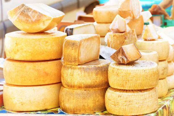 istock Different sorts of italian cheese 955152528