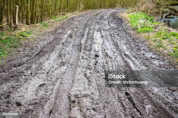 Muddy Trail With Tire Tracks Next To River Cole In Whelford England Stock Photo - Download Image Now