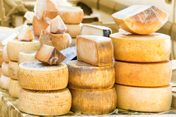 istock Different sorts of italian cheese 955152622