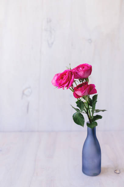 istock Pink roses in a vase. 955153028