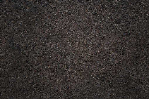 texture in the form of plowed soil