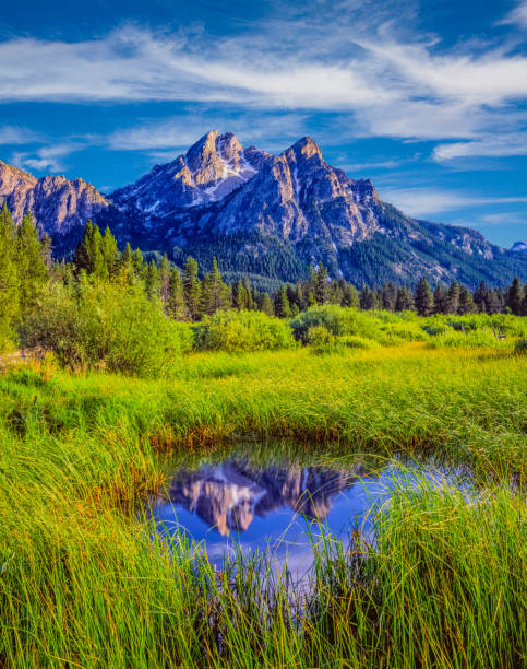 istock The Sawtooth Mountain Range, Stanley Idaho 955157606