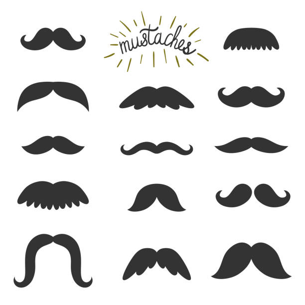 illustrations, cliparts, dessins animés et icônes de vecteur série de moustaches différents. tous les éléments sont des isolats sur blanc. éléments vintage. fond de hipster. - barbe