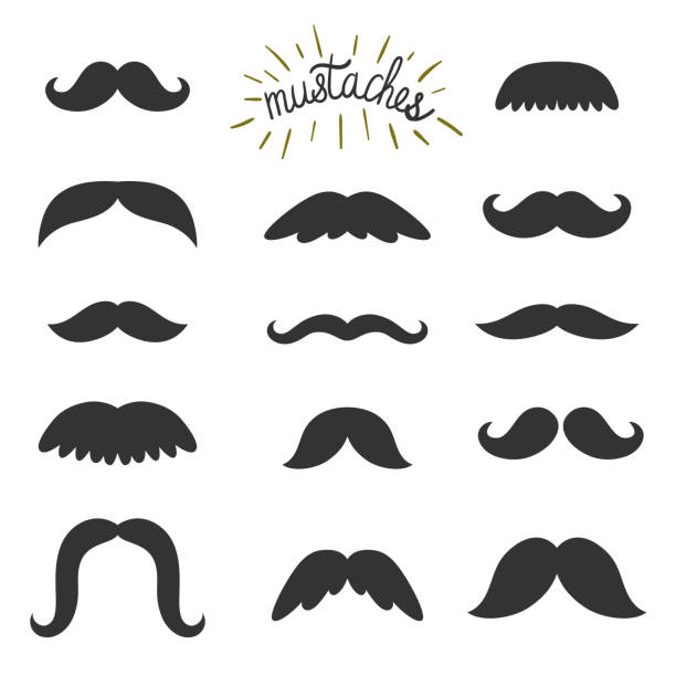 Vector set of different mustaches. All elements are isolates on white. Vintage elements. Hipster background. Vector set of different mustaches. All elements are isolates on white. Vintage elements. Hipster background. beard illustrations stock illustrations